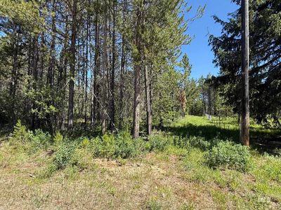 203 Angus Ln, Donnelly, ID, 83615