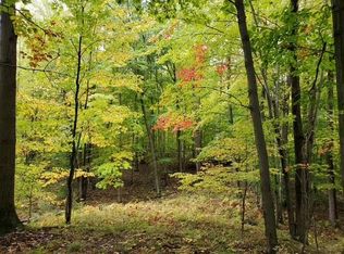 Taylor Rd, Millington, MI 48746