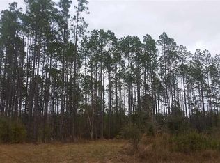 LOT 48 SE Oregon Trl #0, Greenville, FL 32331