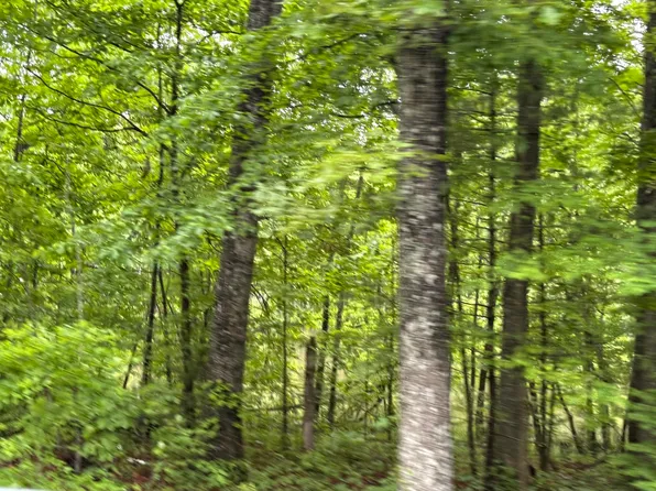 5002 Crazy Horse Dr, Crossville, TN 38572