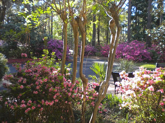 View from laundry room
