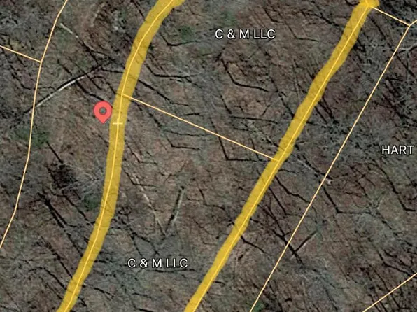 Tree Line Ln, Baneberry, TN 37890