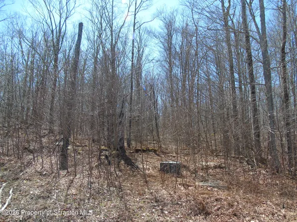 145 Summit Woods Rd, Moscow, PA 18444