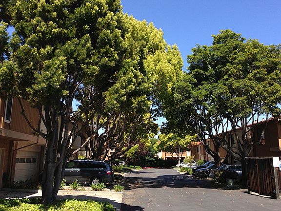 . Tree-lined Cul-de-Sac