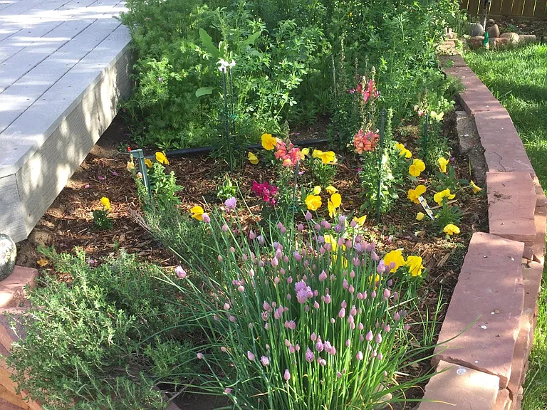expansive Trex deck with professionally landscaped Gardens