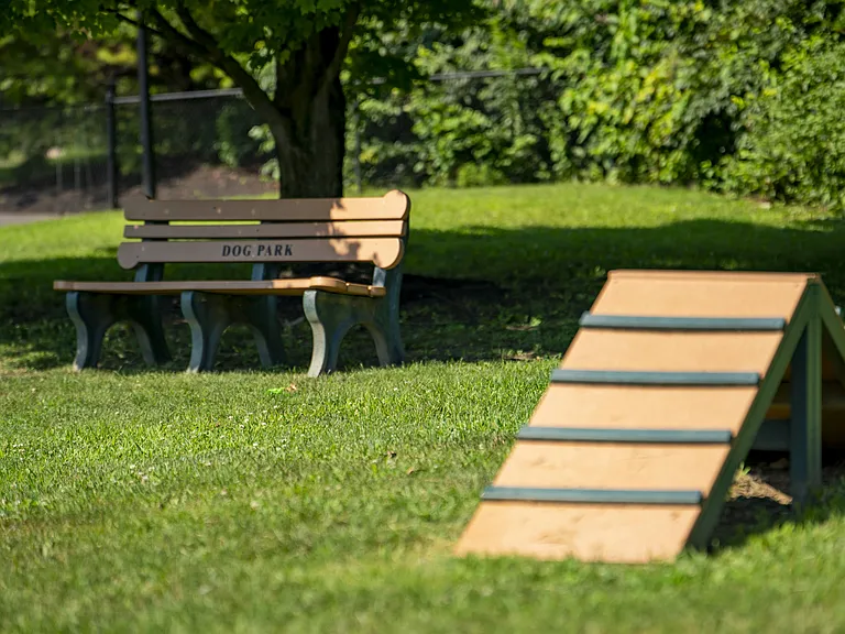 Give your furry friend space to run and play.