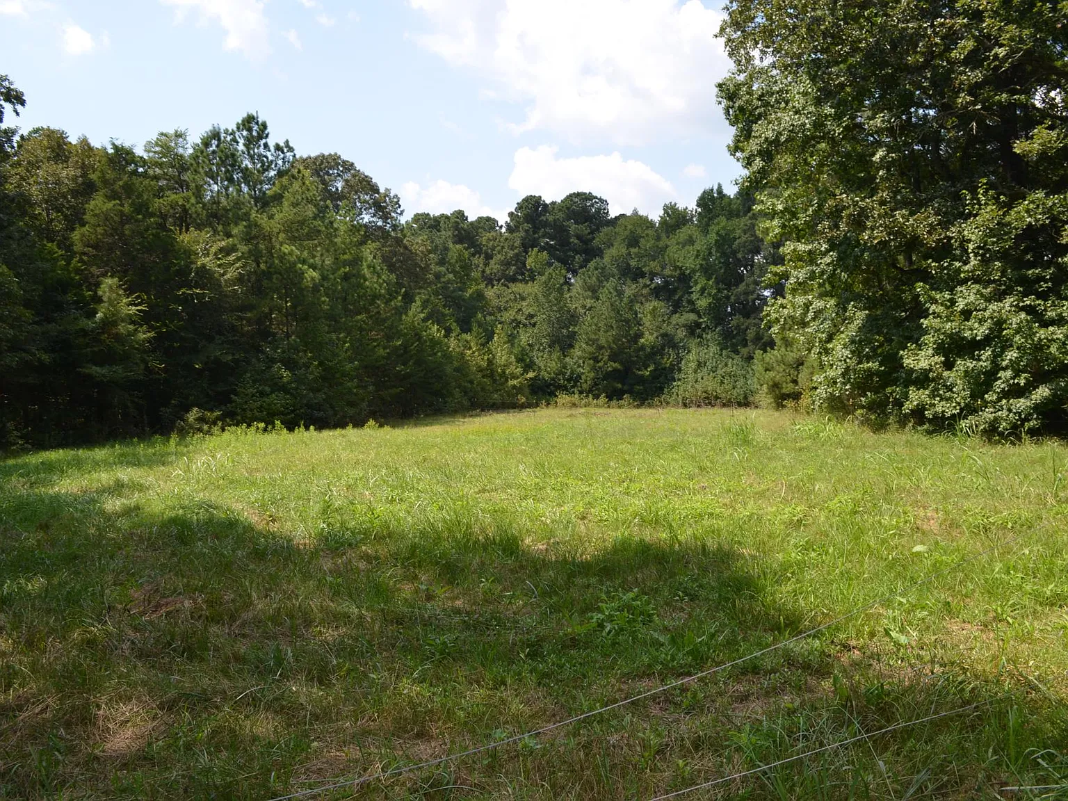 3 bed, 1760 sqft, $1,750 — Photo 2