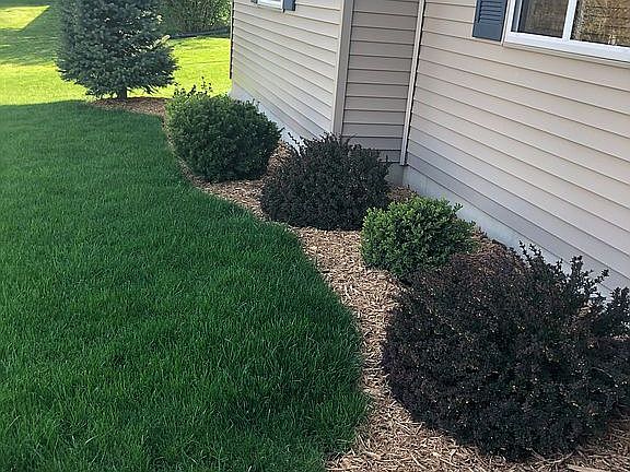 Front landscaping 