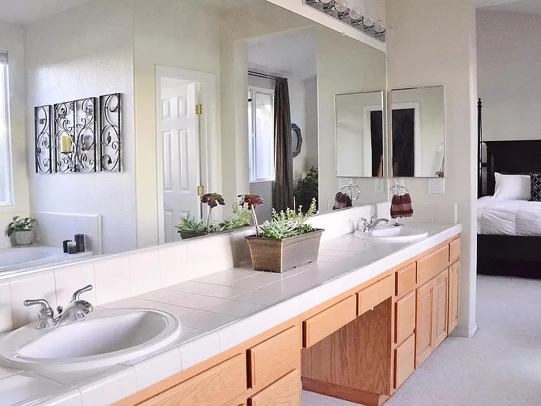 Primary Bath Area