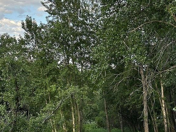 5th image of Spring Creek Dr