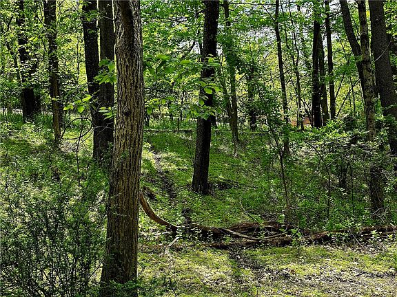 3rd image of LOT 136 Brokers Ln