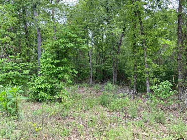 County Road 3405, Jacksonville, TX 75766