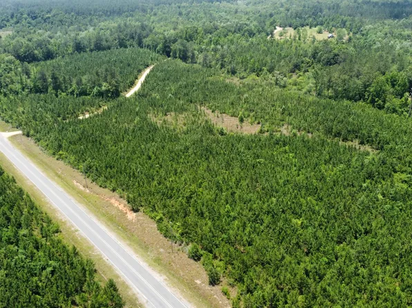 5 Deep Creek Rd, Wiggins, MS 39577