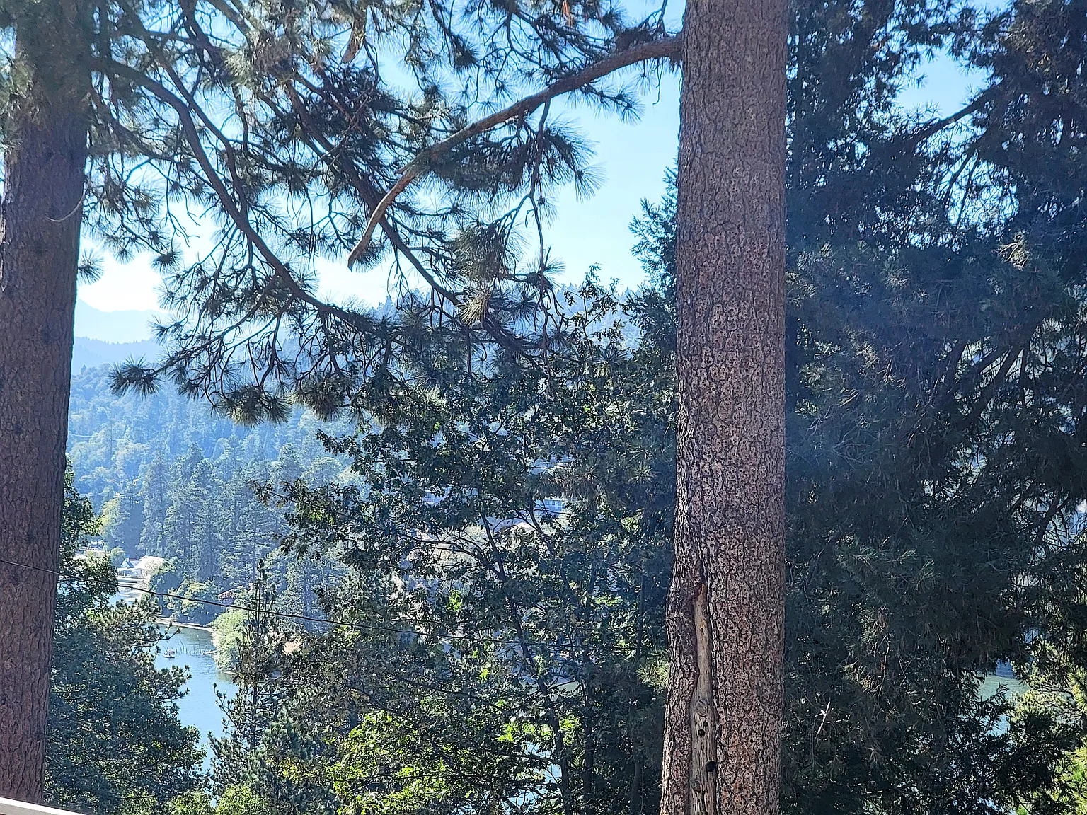 2 bed, 1200 sqft, $2,300 — Photo 4