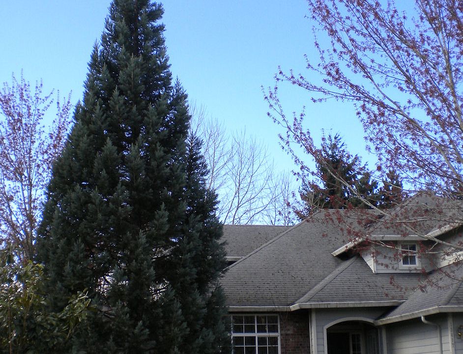 1st image of 13417 133rd Ave NE