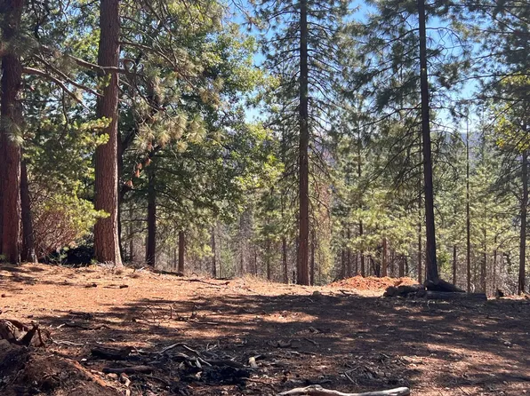5719 Wildrose Dr, Grizzly Flats, CA 95636