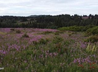 61188 Master Ave, Homer, AK 99603