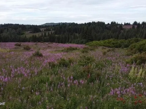 61188 Master Ave, Homer, AK 99603