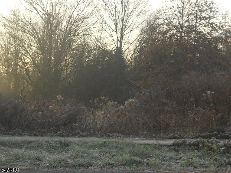 1st image of 000 Toad Lane