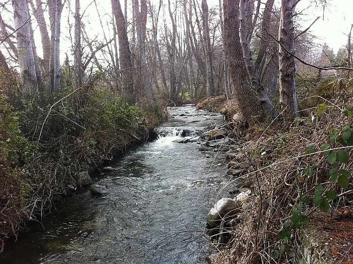 Ashland Creek