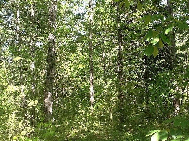 2nd image of 0 Cedar Cv