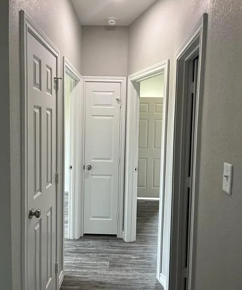 310 Day Dr — Photo 4