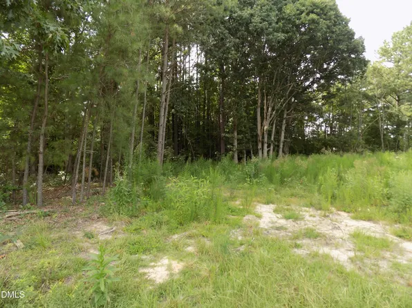 4009 Us Highway 401 N Lot 2, Louisburg, NC 27549