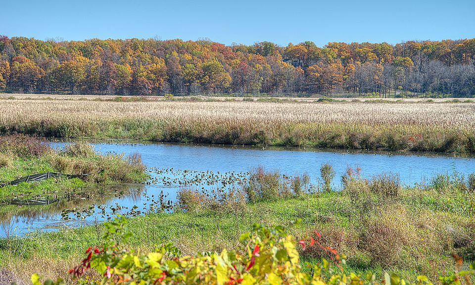 Wetlands and Galien River