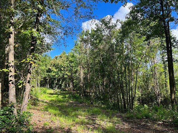 5th image of 0 Old Camp Rd