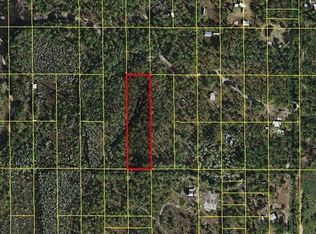 Holopaw Groves Rd, Saint Cloud, FL 34773