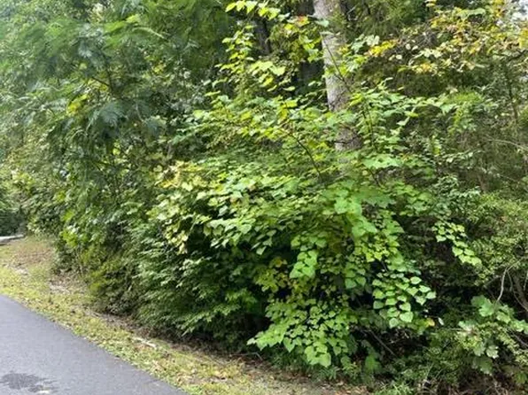 389 N Lakeshore Dr, Louisa, VA 23093