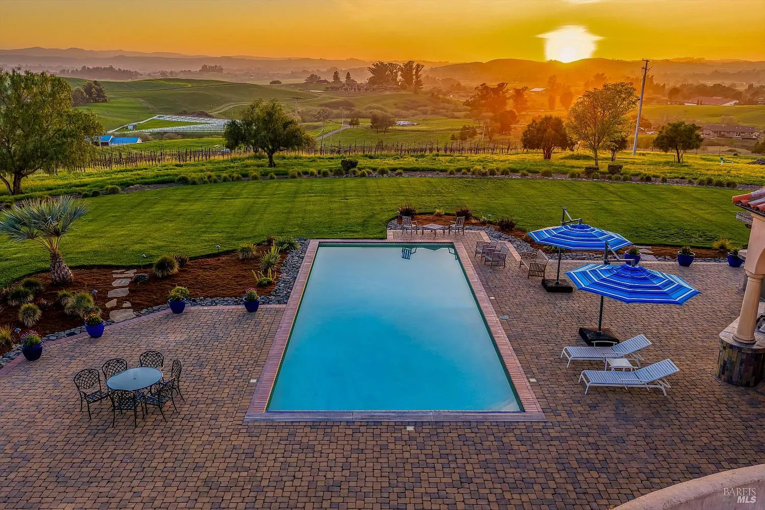 2420 Mountain Ranch Road - Photo 9