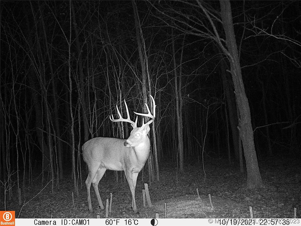 21191 477th Ave, Porter, OK 74454 MLS 2324113 Zillow