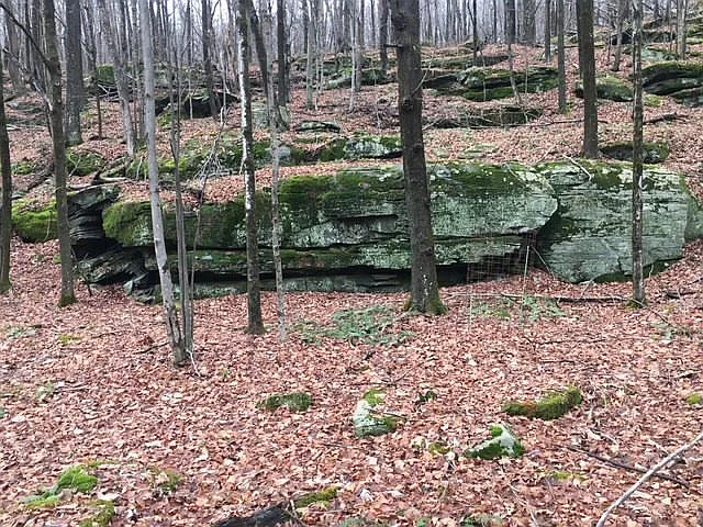 535 Delaware Lake Rd — Photo 14