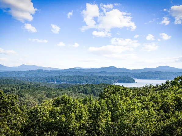 191 Green Ridge Rd, Blue Ridge, GA 30513