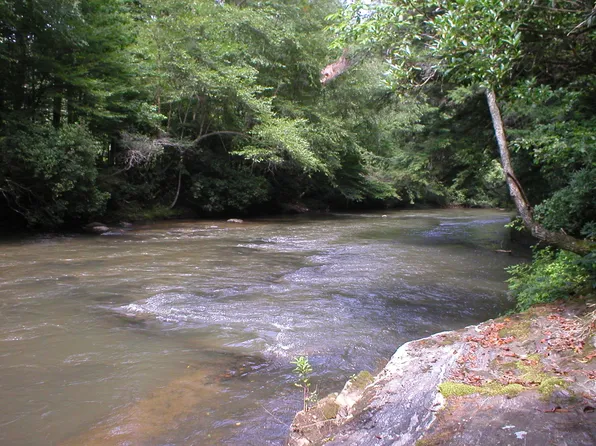 23 River Forest Run, Cleveland, GA 30528