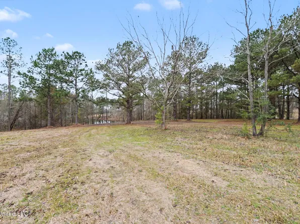 20/AC Summerour Rd, Lucedale, MS 39452