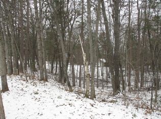 LOT 15 Caulkins Lake Rd, Johannesburg, MI 49751