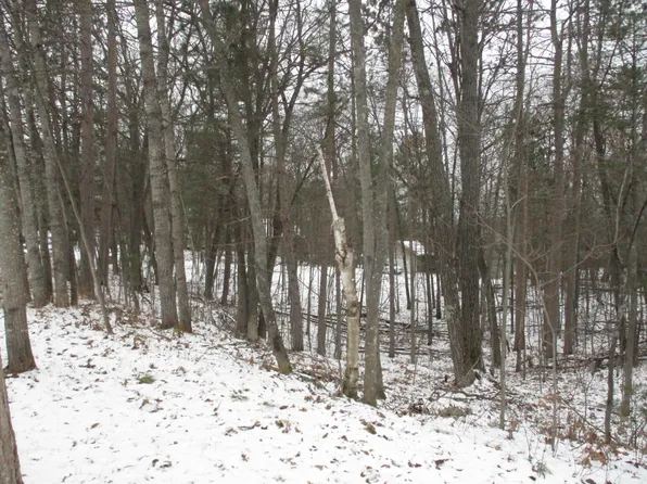 LOT 15 Caulkins Lake Rd, Johannesburg, MI 49751