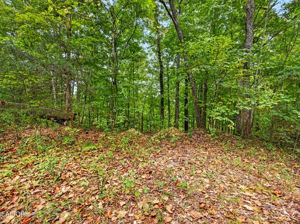 28 Timber Ridge Ln, Celina, TN 38551