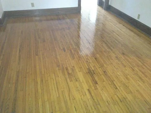 2 bed, 1.0 bath, $2,350 — Photo 3