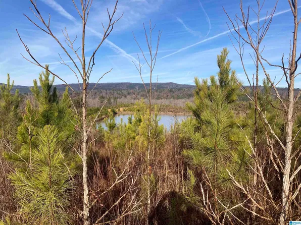 13699 Highway 55 #Na, Sterrett, AL 35147