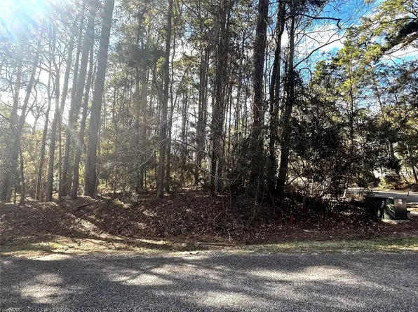 179 Green Tree Dr Lot 35, Coldspring, TX 77331