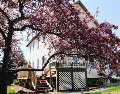 27 Montgomery St, Saugerties, NY, 12477