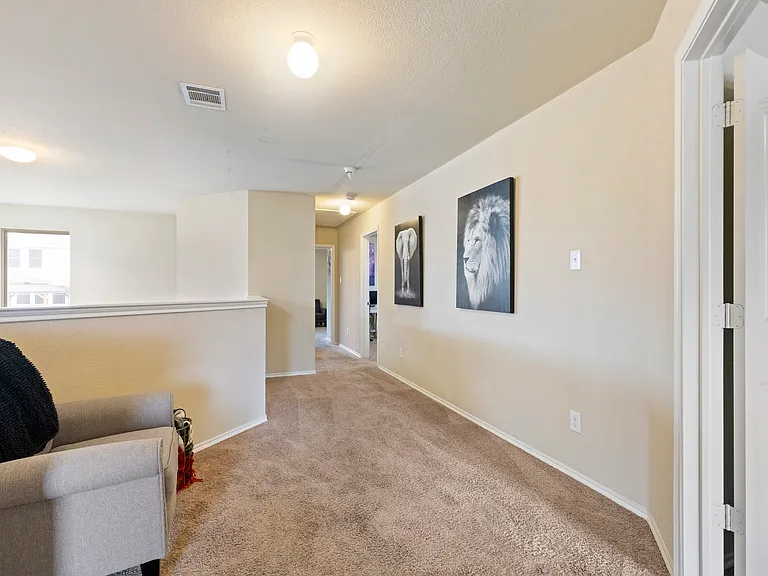 4127 Passage Way — Photo 23