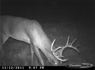 1 Tobaccoport Rd, Bumpus Mills, TN 37028