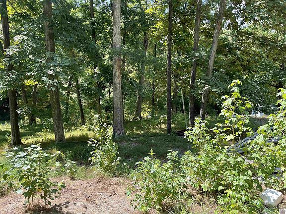 3rd image of 554 Randy Dr #33