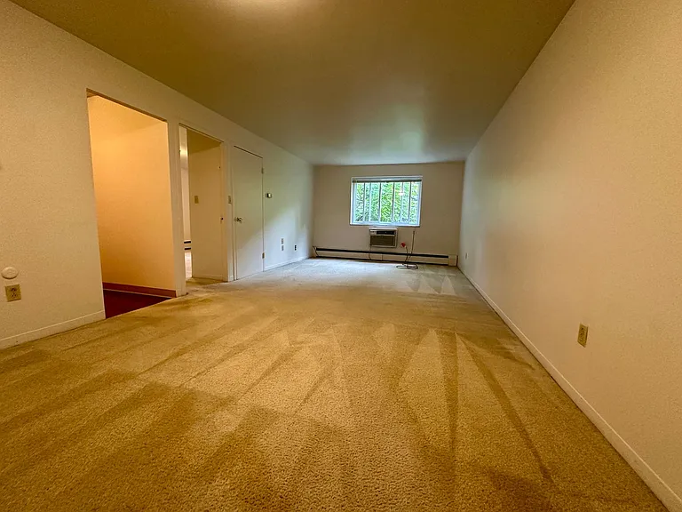 Brett Manor — Photo 4