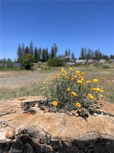 1749 Whitaker Rd, Paradise, CA, 95969