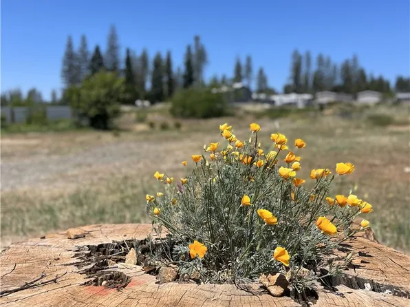 1749 Whitaker Rd, Paradise, CA 95969